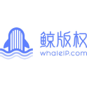 鲸版权